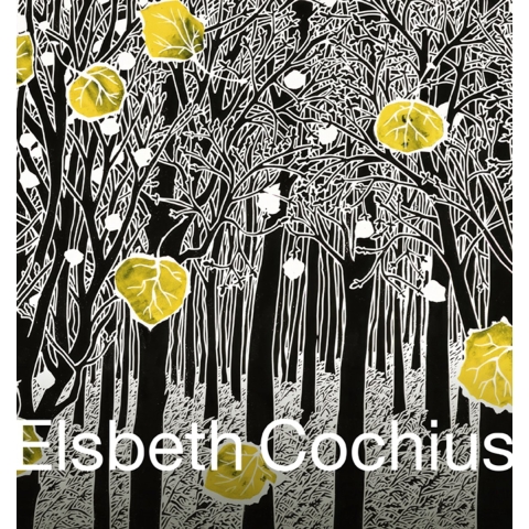 Elsbeth Cochius (Paperback)