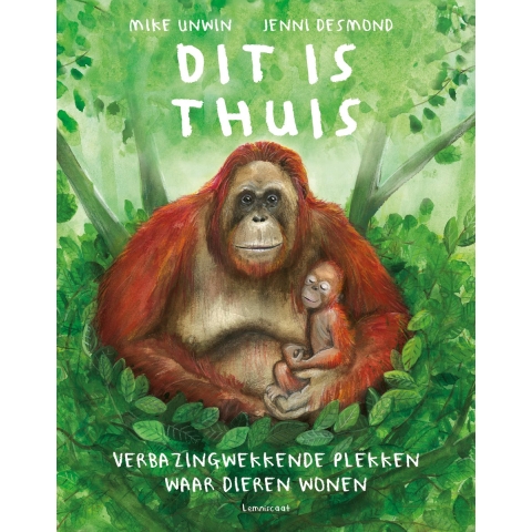 Dit is thuis (Hardback)