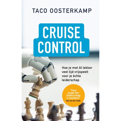 Cruisecontrol (Paperback)