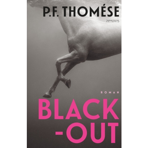 Black-out (Paperback)