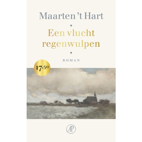 Een vlucht regenwulpen (Paperback)
