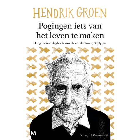 Pogingen iets van het leven te maken (Paperback)