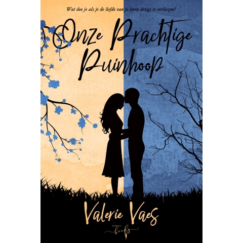 Onze prachtige puinhoop (Hardback)