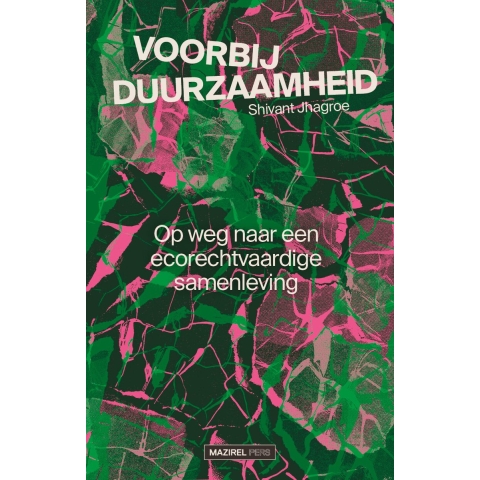 Voorbij duurzaamheid (Paperback)