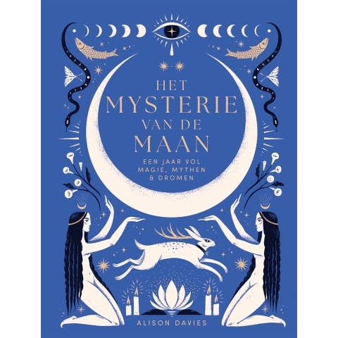 Het mysterie van de maan (Hardback)