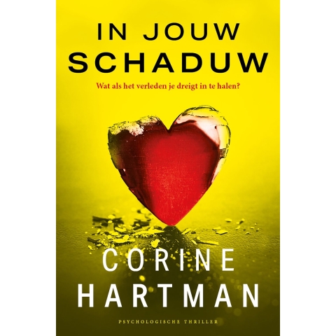 In jouw schaduw (Paperback)