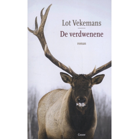 De verdwenene (Paperback)