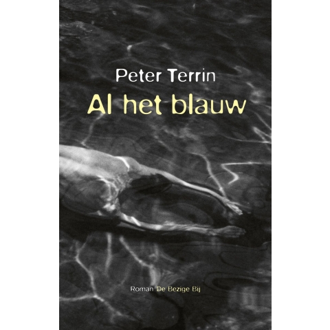 Al het blauw (Paperback)