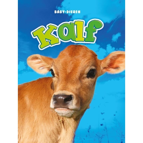 Kalf (Hardback)