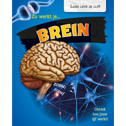 Zo werkt je brein (Hardback)