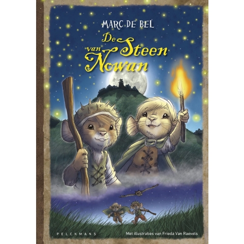 De steen van Nowan (Hardback)