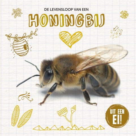 De levensloop van de honingbij (Hardback)