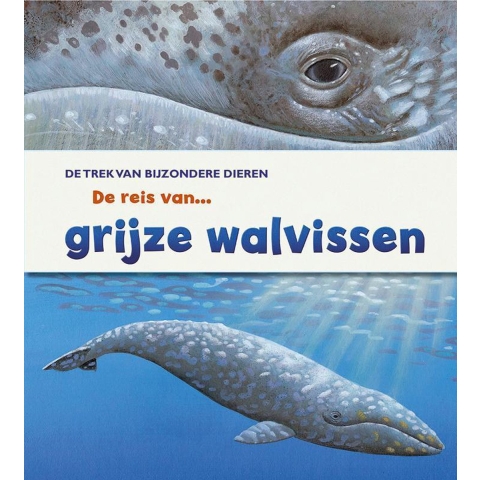 De reis van grijze walvissen (Hardback)