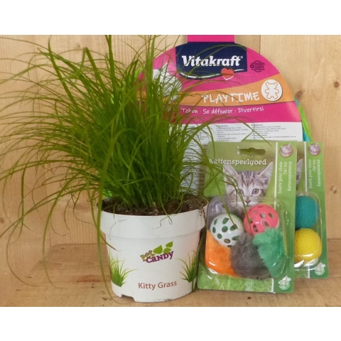 Cadeaupakket kattenspeeltjes met kattengras voor je kat - Warentuin mix