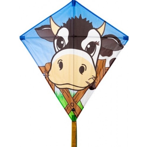 Diamant vlieger paard met staart 68 x 68 cm -