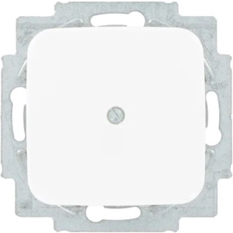 Busch Jaeger WIT blindplaat - 4695560