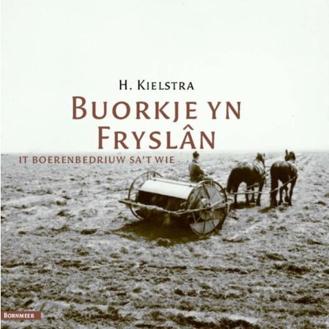 Buorkje yn Fryslân (Paperback)