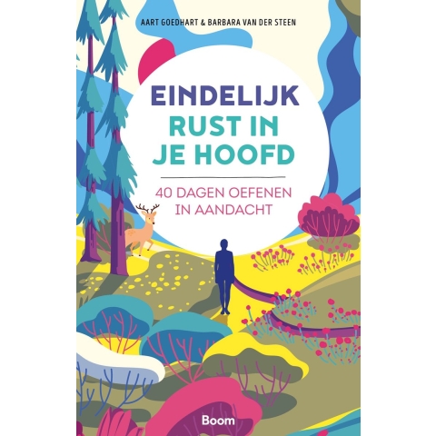 Eindelijk rust in je hoofd (Paperback)