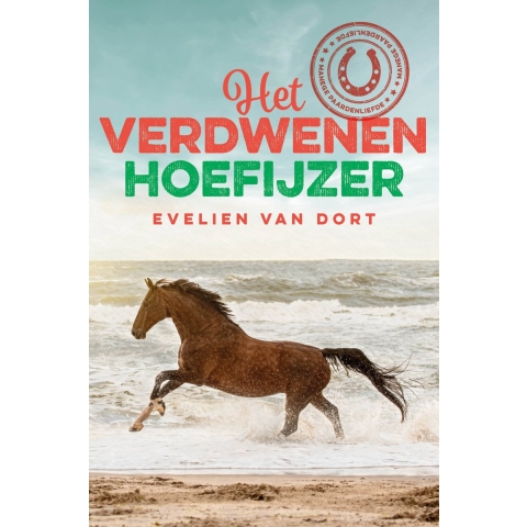 Het verdwenen hoefijzer (Hardback)