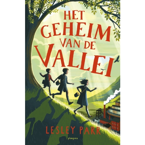 Het geheim van de vallei (Hardback)
