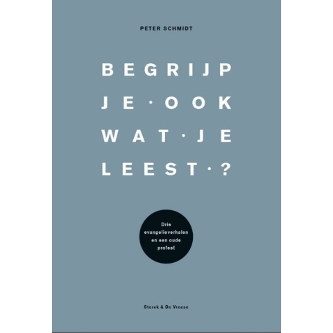 Begrijp je ook wat je leest? (Paperback)