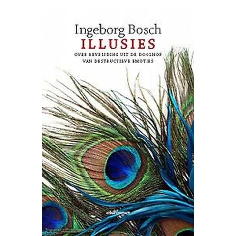 Illusies (Paperback)