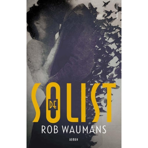 De solist (Paperback)