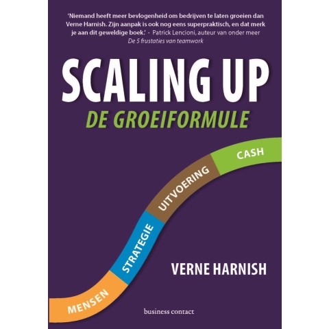 Scaling up (Paperback)