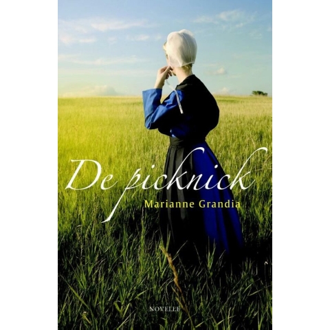 De picknick (Paperback)