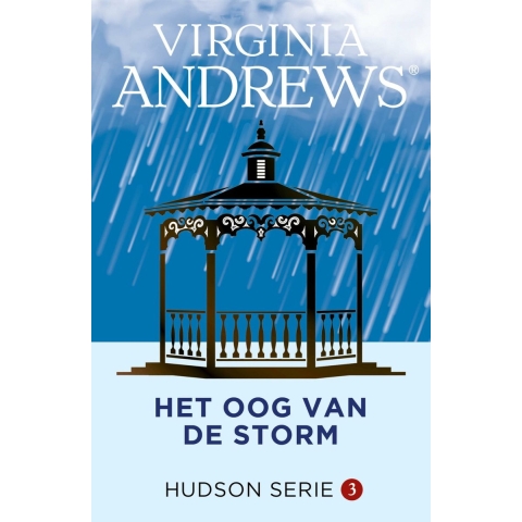 Het oog van de storm (Paperback)