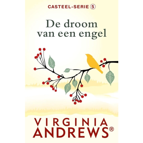 De droom van een engel (Paperback)