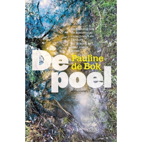 De poel (Paperback)