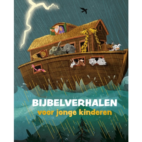 Bijbelverhalen voor jonge kinderen (Hardback)