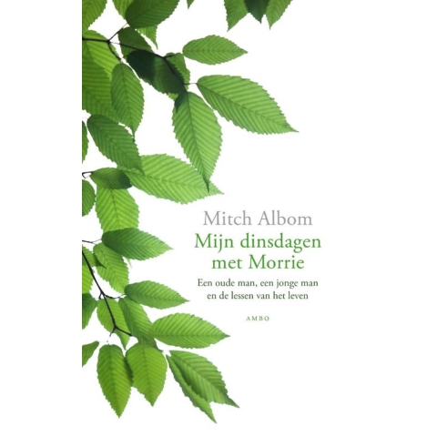 Mijn dinsdagen met Morrie (Paperback)