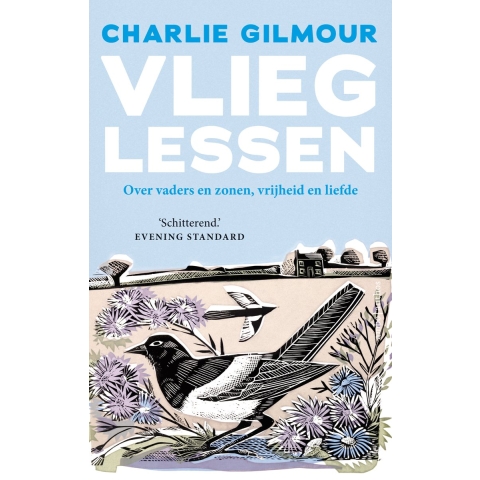 Vlieglessen (Paperback)