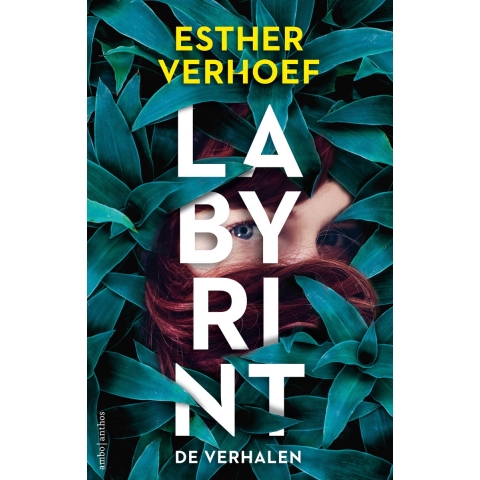 Labyrint - De verhalen (Paperback)