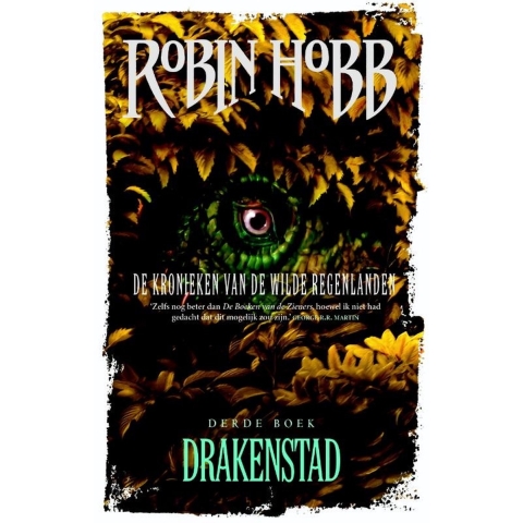 Drakenstad (Paperback)