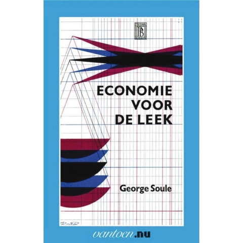 Economie voor de leek (Paperback)