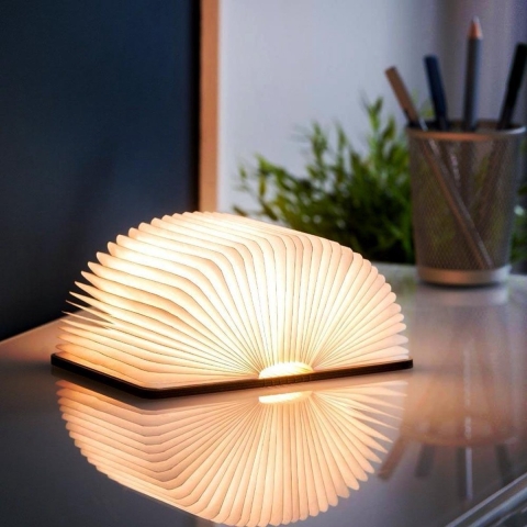 MikaMax Boeklamp - Book Light - Sfeerverlichting - Nachtlamp - 3 Lichtstanden - Gemaakt vanÉcht Hou