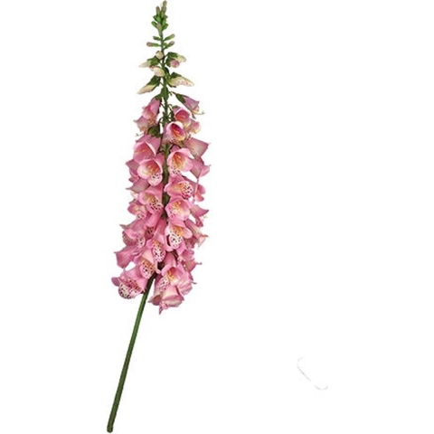 Vingerhoedskruid 127 cm Roze kunstplant - Buitengewoon de boet