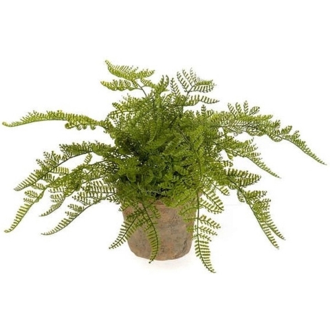 Kunstplant herfst Varen - groen - H30 cm - in pot - nepplant - kamerplant -