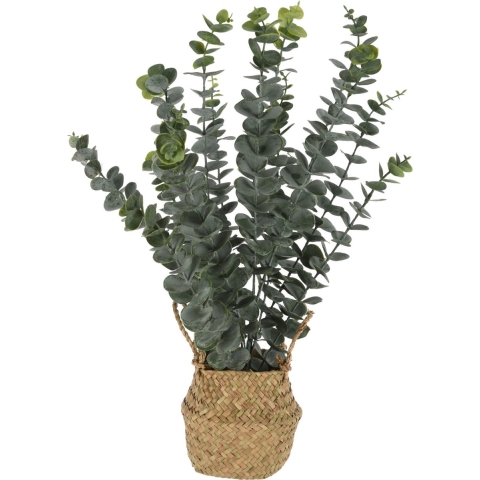 Kunst eucalyptus plant - in rieten mand - 50 cm - voor binnen - kunstplant -