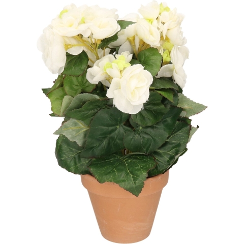 Kunstplant - Begonia - Wit - 30 cm - In Terracotta Pot -