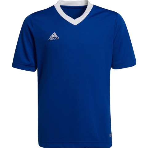 adidas Performance T-Shirt - ENT22 - Royblu - adidas Performance - 12 jaar (152) - T-Shirt