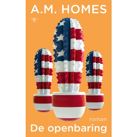 De openbaring (Paperback)