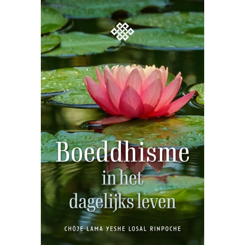 Boeddhisme in het dagelijks leven (Paperback)