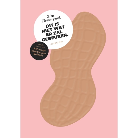 Dit is niet wat er zal gebeuren. (Paperback)