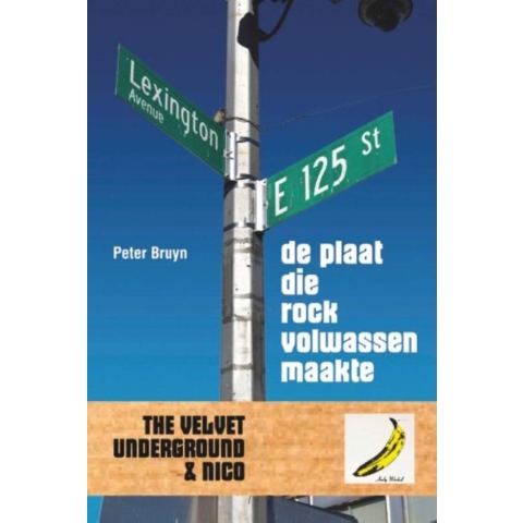 De plaat die rock volwassen maakte (Paperback)