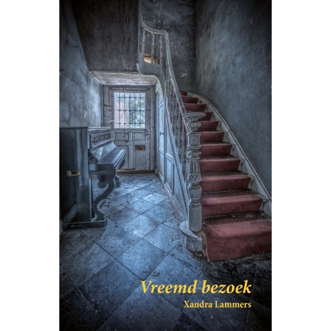 Vreemd bezoek (Paperback)