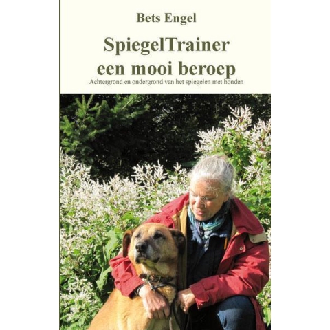 Spiegeltrainer een mooi beroep (Paperback)